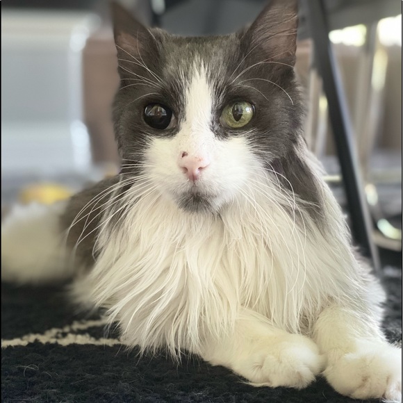 Meet your Posher Ambassador Kaili (Ky-Lee) - Picture 6 of 8